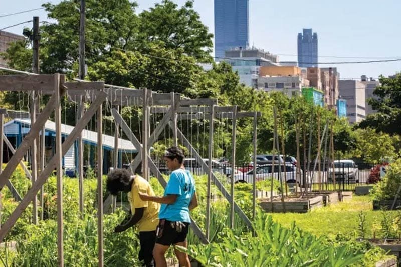 the power of an inner city garden to feed people in need