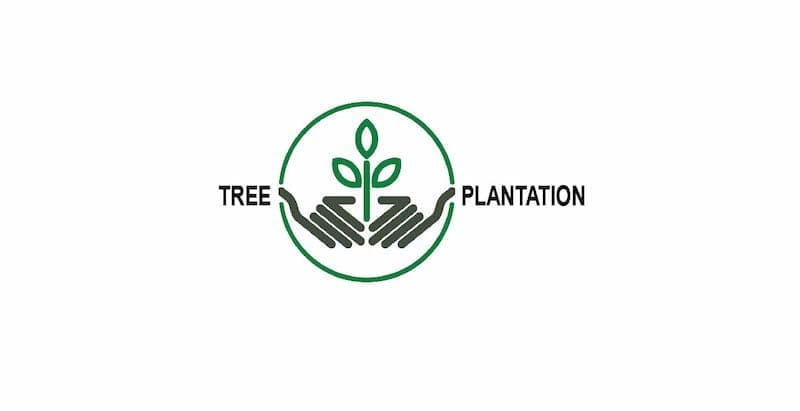 tree plantation usa logo