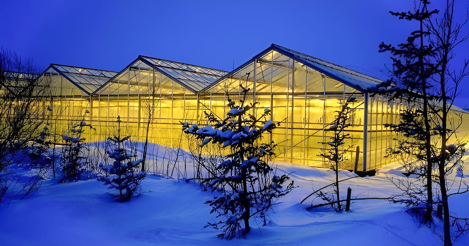 Narsaq Geothermal Greenhouse in Greenland