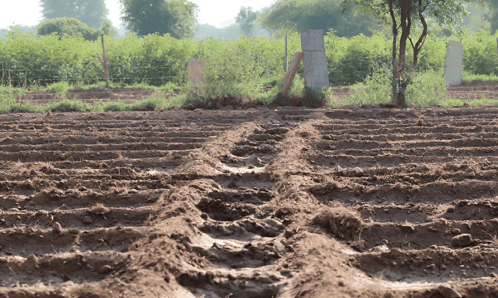 captured agriculture