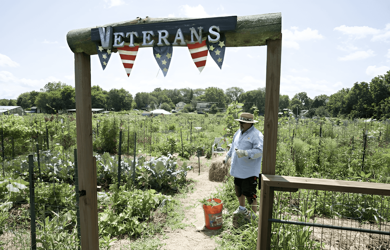 veteran garden