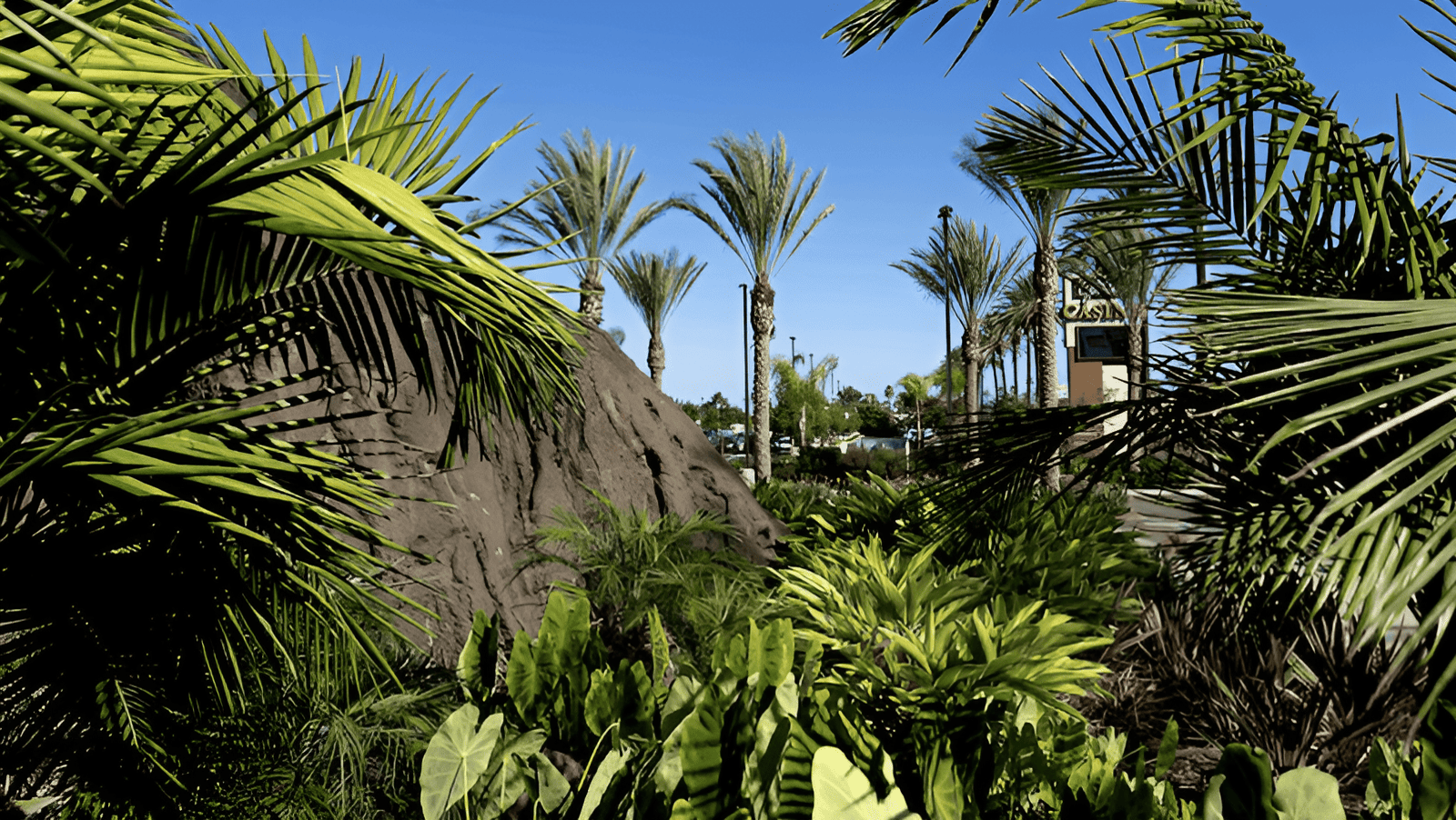 community gardens in hawaii