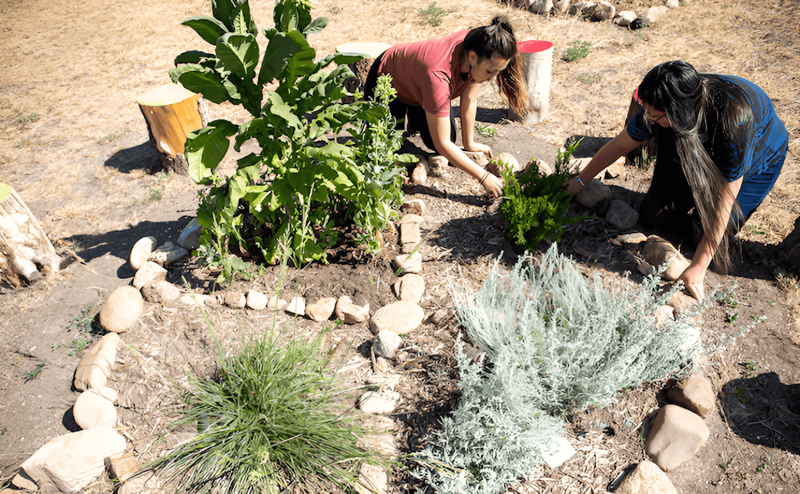 indigeneous culture gardens