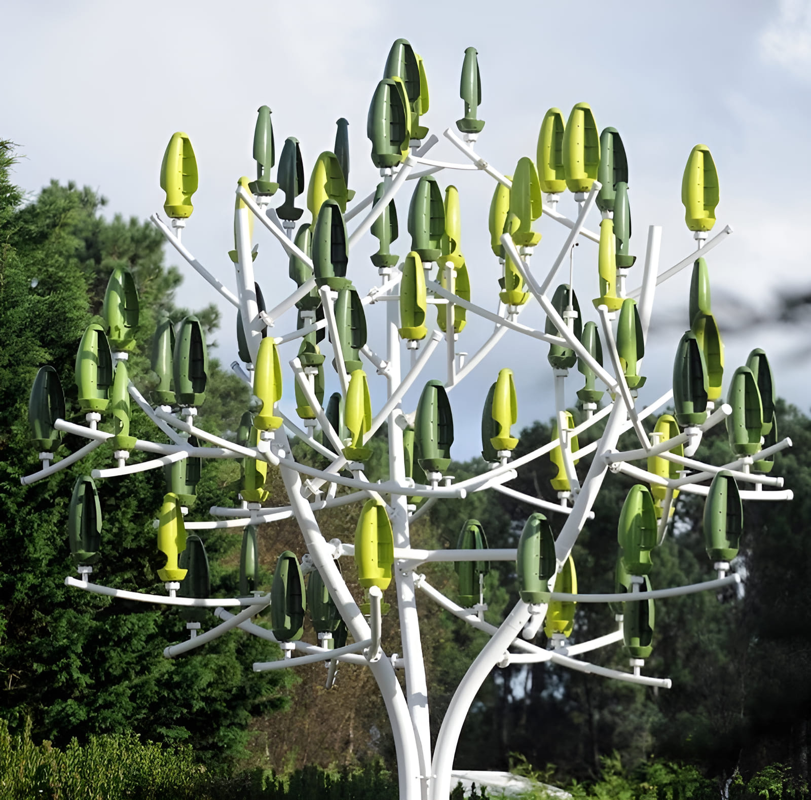 jardín soplado por el viento