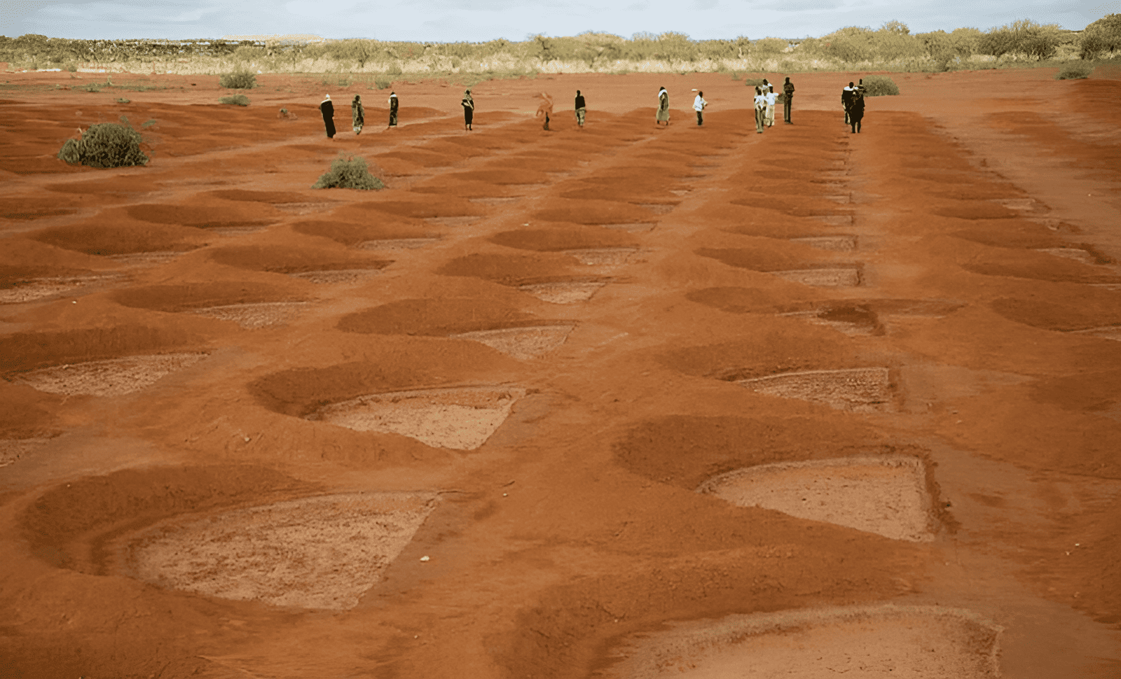 rain water storage in the desert