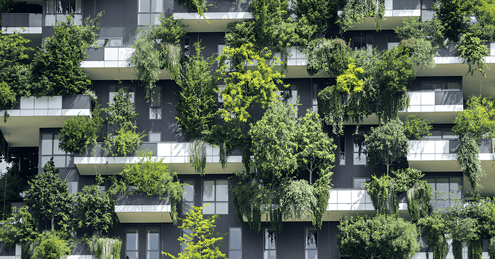 urban gardens in cities