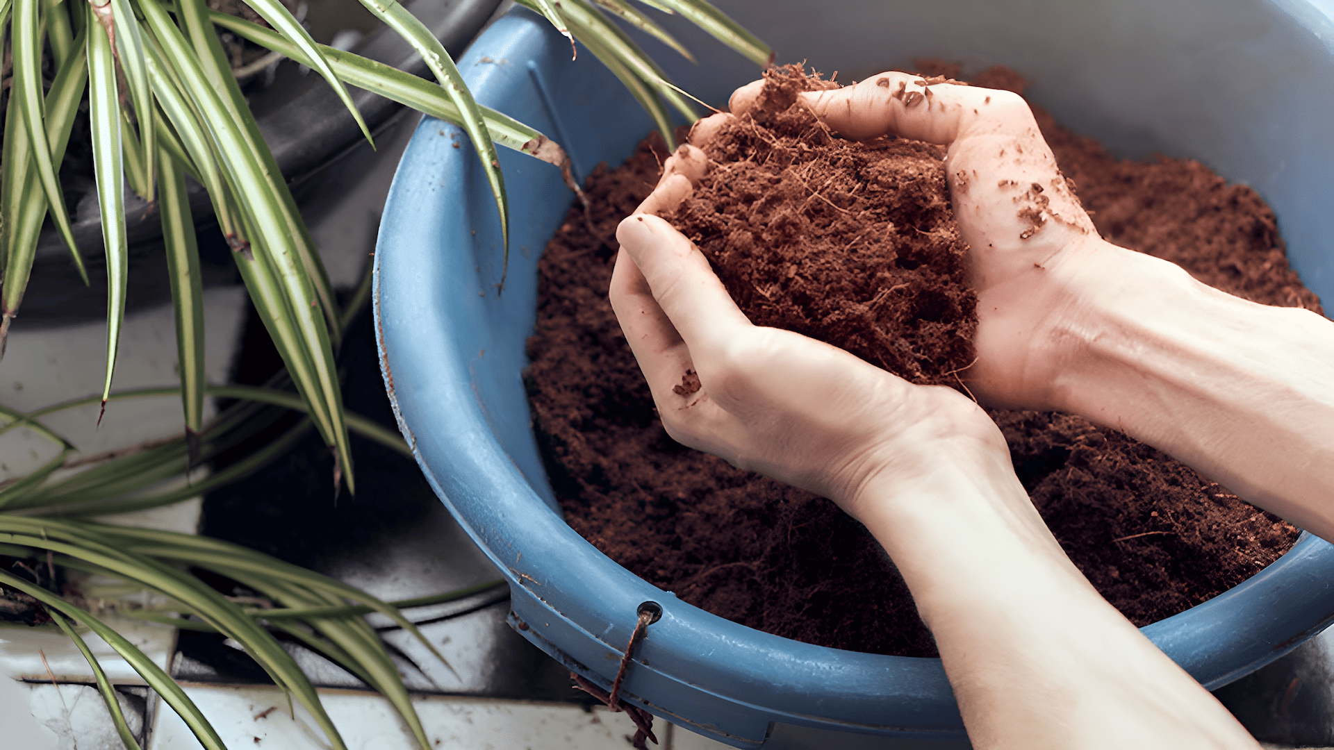 how to install a root tube