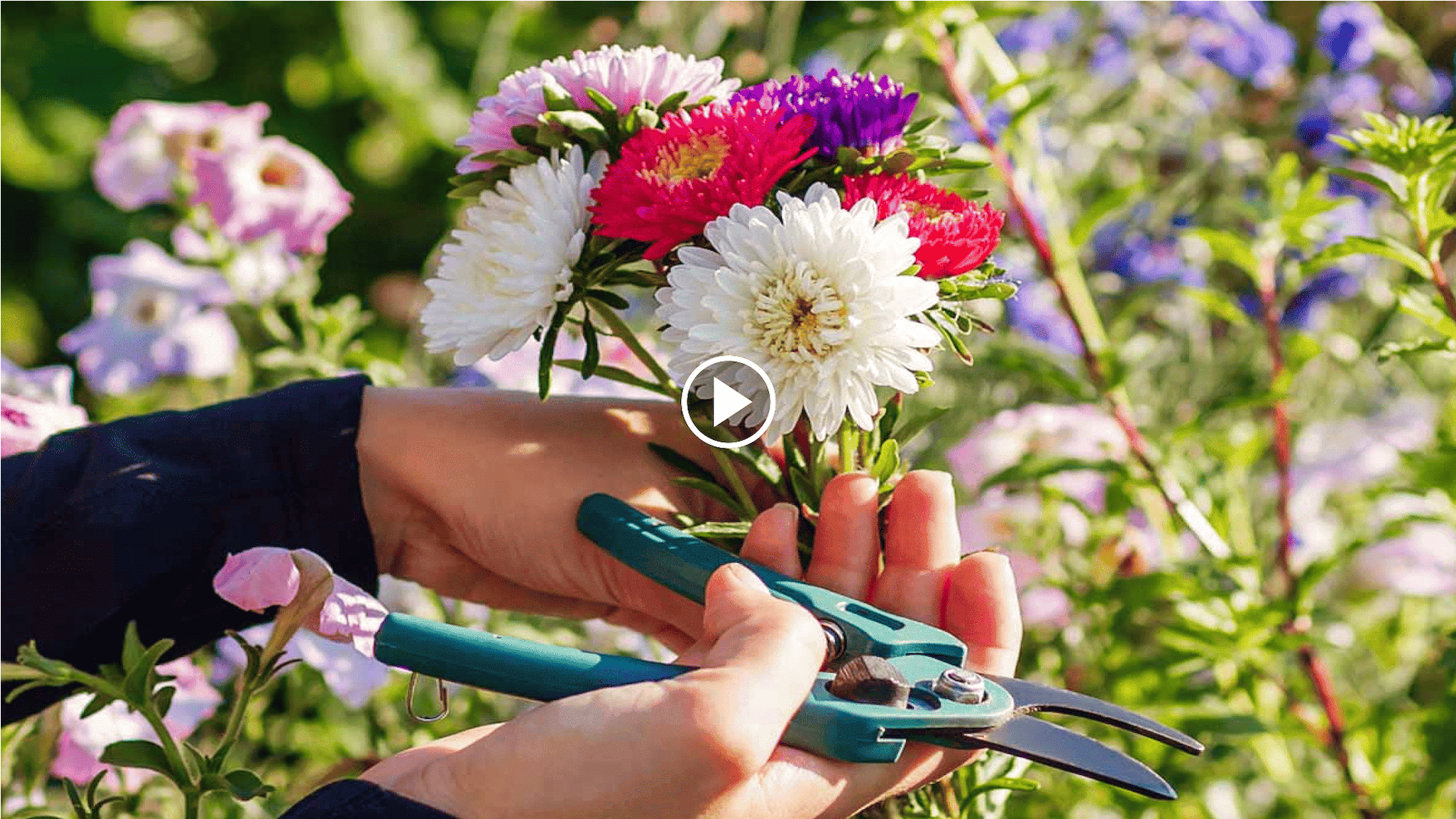 how to grow flowers in a container with a root tube