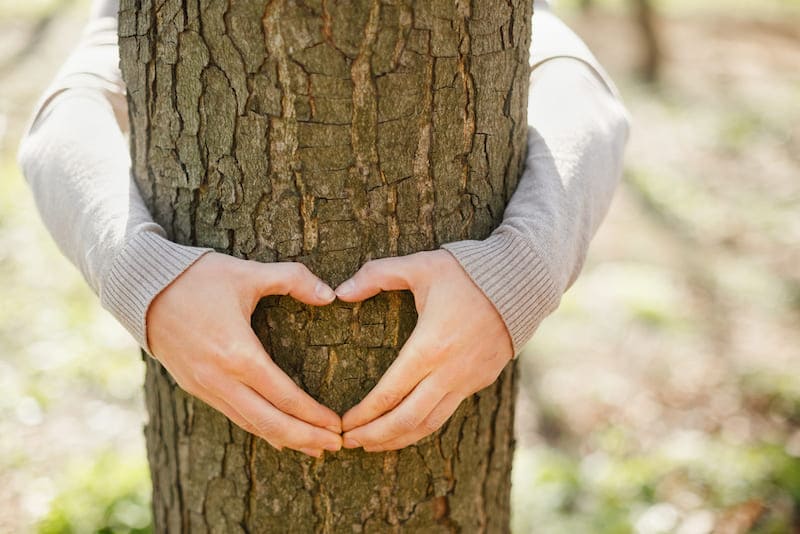 give a tree a big hug