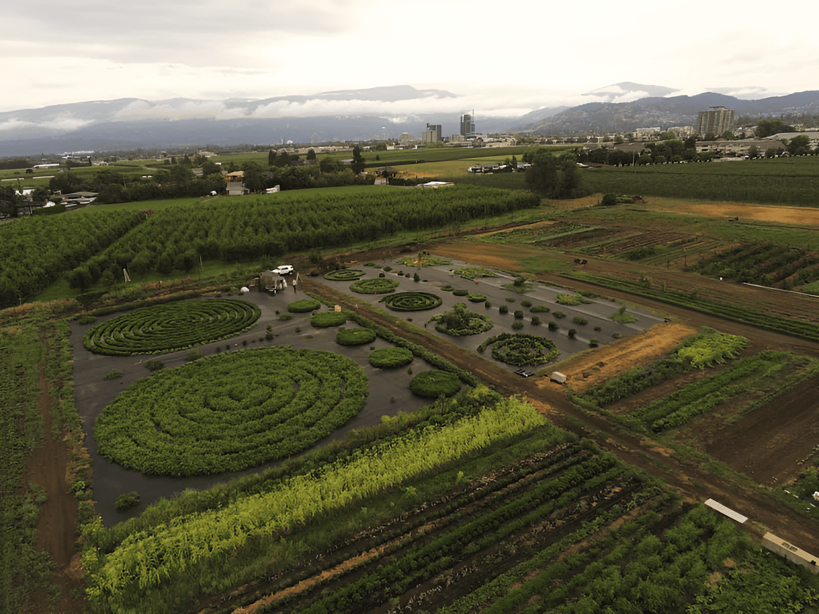 crecer para dar proyecto de granja en canadá